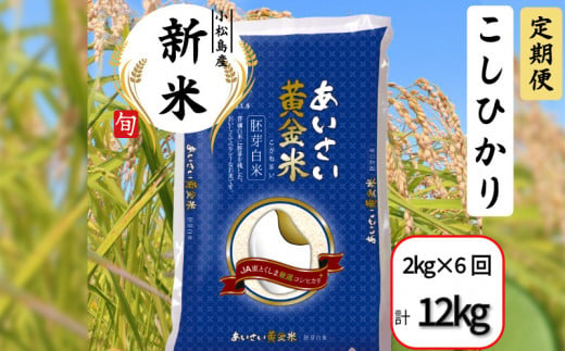 【定期便6回】 令和6年産 新米 定期便 あいさい黄金米 2kg×6回 計12kg 胚芽白米 徳島県 コシヒカリ お米 こめ おこめ こしひかり 白米 精米 国産 ごはん 12kg 18kg 30kg 40kg 1460914 - 徳島県小松島市