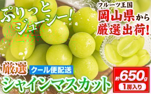 [先行予約]シャインマスカット 岡山 約650g 1房 [2025年9月上旬-11月中旬頃出荷]厳選 旬 ぶどう ブドウ 葡萄 マスカット 果物 フルーツ ギフト 岡山県 笠岡市 訳あり クール便 爽やか 贅沢