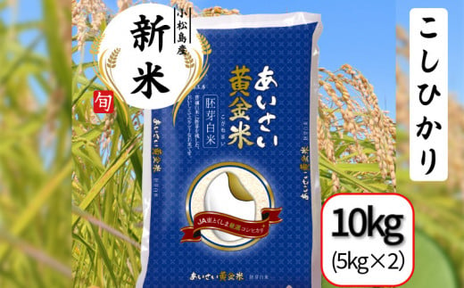 【選べる容量】令和6年産 新米 あいさい黄金米 10kg(5kg×2） 胚芽白米 徳島県 コシヒカリ 2キロ 5キロ 6キロ 10キロ 1460912 - 徳島県小松島市