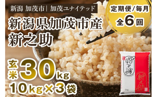 【令和6年産新米】【定期便6ヶ月毎月お届け】新潟県産 新之助 玄米30kg 《10kg×3袋》 新潟 ブランド米 加茂市 加茂ユナイテッド 1459889 - 新潟県加茂市