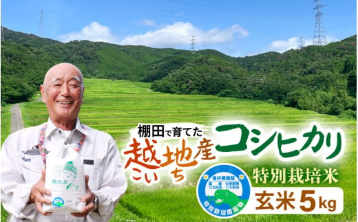 【令和6年 新米】越地 (こいち) 産 特別栽培米 コシヒカリ【玄米】 計5kg [m24-a005] 1524469 - 福井県美浜町