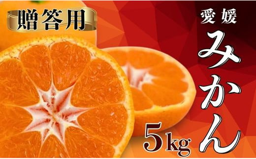 [先行受付] 贈答用 愛媛みかん 5kg [発送期間:2024年10月20日〜なくなり次第終了] 果物 柑橘 みかん 蜜柑 フルーツ ゼリー ジュース オレンジ 甘い 糖度 美味しい ビタミン 美容 健康 愛媛 愛南町 吉本農園 送料無料