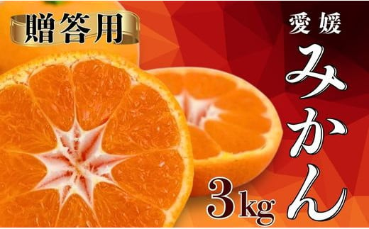 [先行予約]贈答用 愛媛みかん 3kg[発送期間:2024年10月下旬〜なくなり次第終了] 蜜柑 みかん 柑橘 果物 フルーツ 温州みかん 愛媛みかん 愛媛 愛南町 吉本農園 発送期間:2024年10月下旬〜1月中旬(なくなり次第終了)