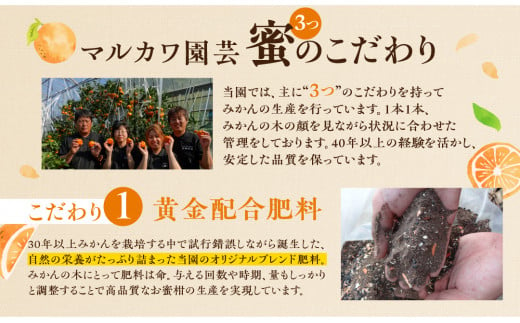 ≪先行予約≫ 超濃厚 ハウスみかん『蜜ツ星』 家庭用 2kg ~ 3kg 選べる みかん 高級 高糖度 自家用 贅沢 蜜柑 ミカン 果物 柑橘  フルーツ 季節限定 濃厚 サイズ バラ おまかせ 訳あり 詰め合わせ あとから選べる 内容量 秀品 優品 混合品 豊橋 12000円 -