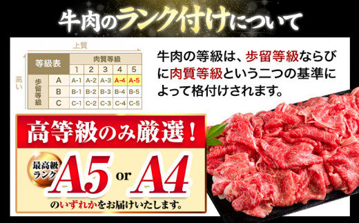 アイテムID:425751の画像4枚目
