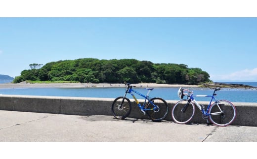 千葉県館山市のふるさと納税 猫のおしゃれ爪とぎソファー「カリカリーナ Luce」ラベンダーミスト　スタンダードサイズ【1513891】