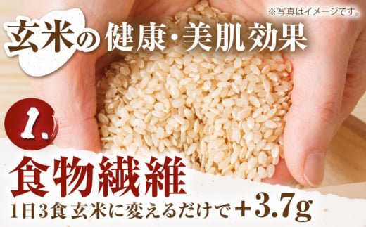 佐賀県江北町のふるさと納税 【先行予約】【皇室献上米生産者のお米】令和6年産 新米  ヒノヒカリ 玄米 10kg ( 5kg×2 ) 【かづやの農園】 [HAP014]