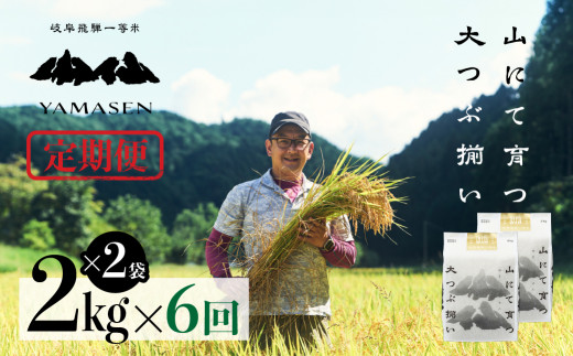 令和6年産米【定期便】山仙（いのちの壱）【2kg×2袋（4kg）×6回】 すがたらいす 下呂市金山産 2024年産 毎月 4キロ×6カ月 お米 精米 下呂温泉 下呂市 米 ブランド米 1454345 - 岐阜県下呂市