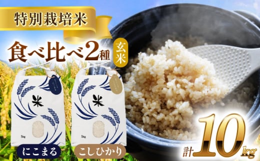 [選べる発送月]愛知県産 コシヒカリ・にこまる 玄米 各5kg 特別栽培米 お米 ご飯 愛西市/戸典オペレーター [AECT009]