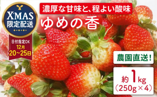 【12月25日お届け クリスマス用】いちご ゆめの香 約1kg（250g×4パック）長崎県/わたる農園 [42AABB007] 1461581 - 長崎県長崎県庁