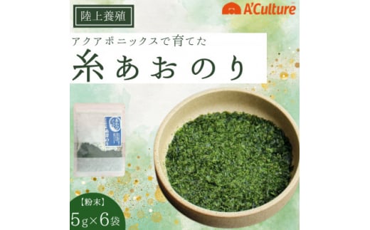 陸上養殖あおのり(粉末)　5g×6パック【1542687】 1461973 - 千葉県いすみ市