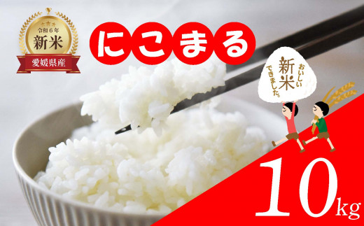 愛媛県産 米10kg 精米 ｜産地直送 国産  白米 ブランド米 期間限定 数量限定 ご当地 愛媛県 松山市 1477093 - 愛媛県松山市