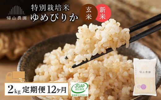 新米発送【定期便 12ヶ月】特別栽培米産地直送 玄米 ゆめぴりか 2kg×12回 《帰山農園》  1049286 - 北海道知内町