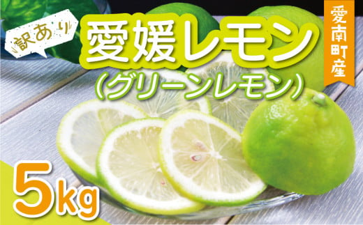 数量限定 訳あり 愛媛 レモン （ グリーンレモン ） 5kg 10000円 柑橘 サイズ 不揃い 家庭用 檸檬 国産 フルーツ 果物 果実 産地直送  農家直送 期間限定 特産品 瀬戸内 お取り寄せ 果汁 人気 限定 新鮮 レモネード 塩レモン レモン酢 レモンソース