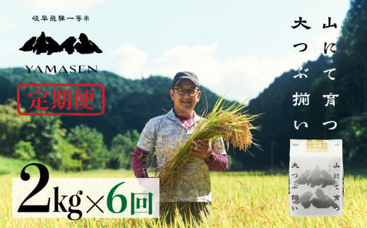 （新米）令和6年産米【定期便】山仙（いのちの壱）2kg×6回 すがたらいす 下呂市金山産 2024年産 毎月 2キロ×6カ月 お米 精米 下呂温泉 下呂市 米 ブランド米 1454344 - 岐阜県下呂市