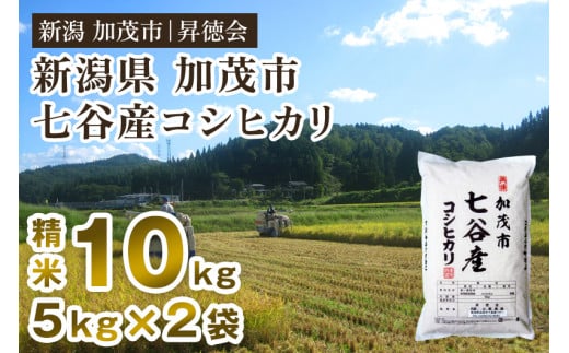 【令和6年産新米先行予約】新潟県加茂市 七谷産コシヒカリ 精米10kg（5kg×2） 白米 高柳地域産数量限定 昇徳会 241340 - 新潟県加茂市