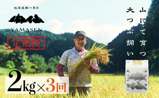 (新米)令和6年産米[定期便]山仙(いのちの壱)2kg×3回 すがたらいす 下呂市金山産 2024年産 毎月 2キロ×3カ月 お米 精米 下呂温泉 下呂市 米 ブランド米