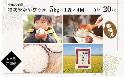 [定期便][令和6年産]北海道産『特別栽培米 ゆめぴりか 無洗米 5kg×4ヶ月』 日経トレンディ米のヒット甲子園 大賞受賞 毎月1回・計4回お届け 計20kg 定期便 単一原料米 特栽米 米 お米 白米 精米 こめ おこめ ごはん ご飯 送料無料 北海道 奈井江町