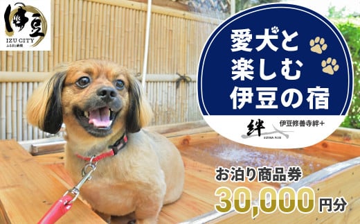 修善寺温泉 修善寺絆+ 愛犬と一緒にお泊り 商品券 30,000円分 [静岡県 伊豆市 温泉 温泉宿 宿泊券 宿泊 旅行 旅行クーポン 商品券 補助券 ペット ホテル お泊り ペット 愛犬 犬 いぬ イヌ 家族 ファミリー 友達 友人 カップル 夫婦 宿泊券 補助券 チケット 利用券 贅沢 旅行 家族旅行 卒業旅行 記念旅行 記念日 お祝い 誕生日 卒業 結婚 還暦 ご褒美 ]10-026