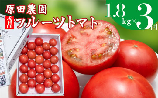 【3回定期便】フルーツトマト 原田農園 約1,800g 大箱（12月下旬～5月頃発送）＜2024年12月下旬頃より発送＞＜毎年12月上旬頃まで申込受付＞