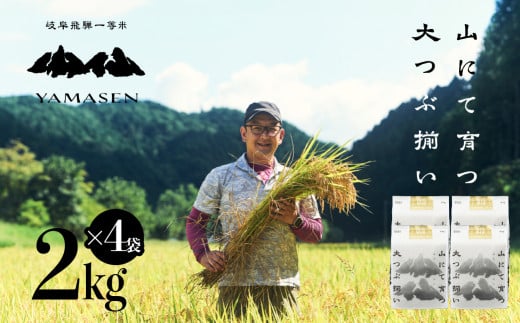 新米予約受付【令和6年産米】すがたらいす 山仙 (いのちの壱)  2kg×4（8kg）すがたらいす 8キロ 下呂市金山産 2024年産 お米 精米 米 いのちのいち やません 1454273 - 岐阜県下呂市