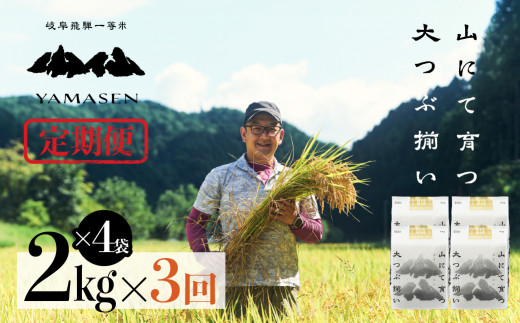 令和6年産米【定期便】山仙（いのちの壱）【2kg×4袋（8kg）×3回】 すがたらいす 下呂市金山産 2024年産 毎月 8キロ×3カ月 お米 精米 下呂温泉 下呂市 米 ブランド米 1454343 - 岐阜県下呂市