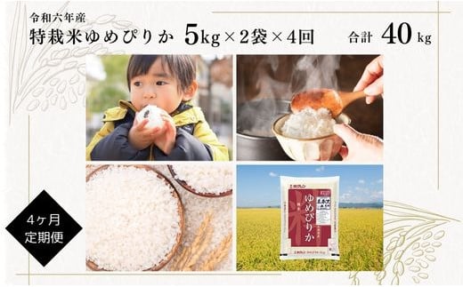 【定期便】【令和6年産】北海道産『特別栽培米 ゆめぴりか 10kg×4ヶ月』日経トレンディ米のヒット甲子園 大賞受賞 5kg×2袋 毎月1回・計4回お届け 計40kg 定期便 単一原料米 特栽米 米 お米 白米 精米 こめ おこめ ごはん ご飯 送料無料 北海道 奈井江町 867245 - 北海道奈井江町