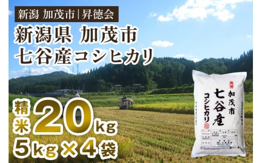 【令和6年産新米先行予約】新潟県加茂市 七谷産コシヒカリ 精米20kg（5kg×4） 白米 高柳地域産数量限定 昇徳会 1461866 - 新潟県加茂市