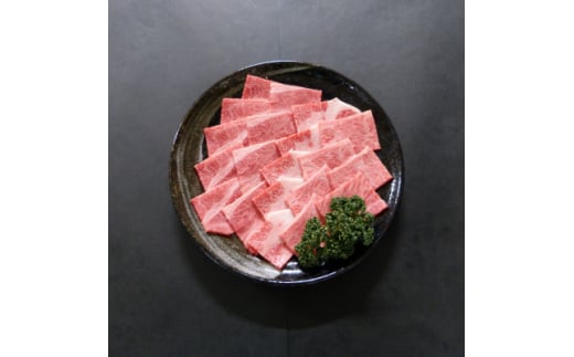 A5等級飛騨牛:焼肉用500g　ロース又は肩ロース肉【1538418】 1461990 - 岐阜県笠松町