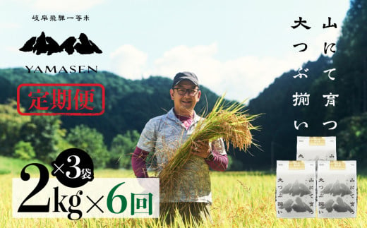 （新米）令和6年産米【定期便】山仙（いのちの壱）2kg×3（6kg）×6回 すがたらいす 下呂市金山産 2024年産 毎月 6キロ×6カ月 お米 精米 下呂温泉 下呂市 米　ブランド米 1454346 - 岐阜県下呂市