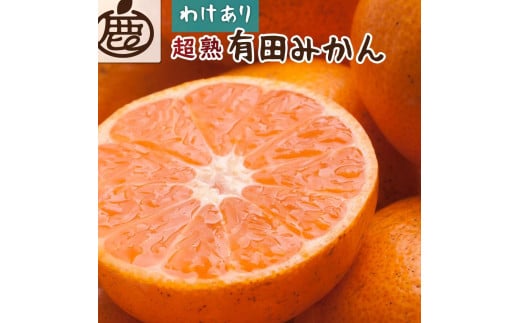 ＜11月より発送＞家庭用 超熟有田みかん5kg+150g（傷み補償分）【わけあり・訳あり】【光センサー選果】 1460720 - 和歌山県由良町