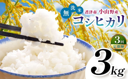 【定期便3回】【新米 1週間以内に発送】令和6年産 君津市小山野産 コシヒカリ 無洗米 3kg 3回 | 新米 しんまい こしひかり 千葉県産 むせんまい 米 コメ こめ お米 すぐ発送 すぐ 千葉県 君津市 きみつ あかかげ農園　千葉稲作 1463318 - 千葉県君津市