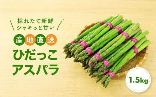 【2025年発送 先行受付】ひだっこ アスパラ 1.5kg グリーンアスパラガス アスパラガス 飛騨産 野菜 春  夏  産地直送 新鮮   CM004VC01 1460770 - 岐阜県高山市