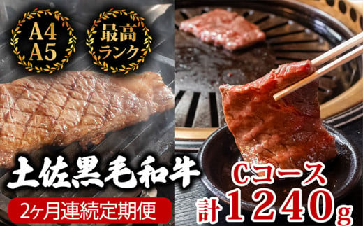 【2回定期便】土佐黒毛和牛 食べ比べ 1240g (計1.2kg以上) | Cコース 厳選 国産 和牛 ステーキ 焼き肉 お肉 にく 霜降り 牛肉 モモ肉 もも肉 サーロイン 人気 贈答 ギフト プレゼント 小分け 数量限定 2ヵ月 頒布会 老舗 たけうちミート 高知県 須崎市 TM5000 1464508 - 高知県須崎市