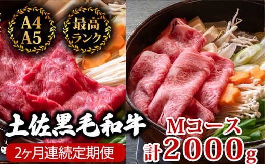 【2回定期便】土佐黒毛和牛 食べ比べ 2000g (計2kg以上) | Mコース 厳選 国産 和牛 すき焼き しゃぶしゃぶ お肉 にく 霜降り 牛肉 ウデ肉 うで肉 リブロース 人気 贈答 ギフト プレゼント 小分け 数量限定 2ヵ月 頒布会 老舗 たけうちミート 高知県 須崎市 TM15000 1464498 - 高知県須崎市