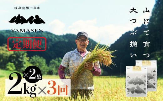 （新米）令和6年産米【定期便】山仙（いのちの壱）2kg×2（4kg）×3回 すがたらいす 下呂市金山産 2024年産 毎月 4キロ×3カ月 お米 精米 下呂温泉 下呂市 米 ブランド米 1454341 - 岐阜県下呂市