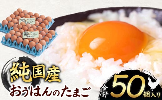 信州産純国産鶏「おうはん」のたまご　50個入り｜ ふるさと納税 信州 鶏 卵 たまご 長野県 松本市 美味しい 種類豊富 特別 1598330 - 長野県松本市