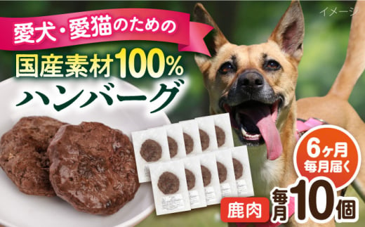 【全6回定期便】ペットフード 鹿肉 100%ハンバーグ 10個セット ペット 犬 猫 手作り 国産 てづくり こだわり ドッグフード  横須賀 【ペットフードYM japan】 [AKEX012] 1529417 - 神奈川県横須賀市