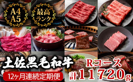 【12回定期便】土佐黒毛和牛 食べ比べ 11720g (計11kg以上) | Rコース 厳選 国産 和牛 すき焼き しゃぶしゃぶ ステーキ 焼き肉 お肉 にく 霜降り 牛肉 ウデ肉 うで肉 モモ肉 もも肉 サーロイン リブロース 人気 贈答 ギフト プレゼント 小分け 数量限定 12ヵ月 頒布会 老舗 たけうちミート 高知県 須崎市 TM20000 1464493 - 高知県須崎市