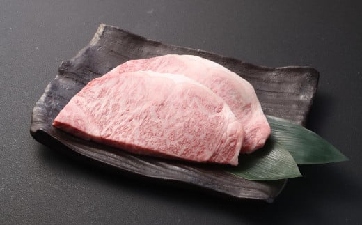 長崎和牛 サーロイン ステーキ 約200g×2枚 合計400g 和牛 お肉 肉 国産 ステーキ 肉の牛長 1461652 - 長崎県長崎市