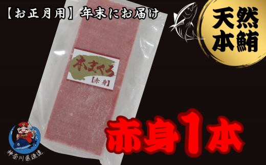 B10-007 【12月30日にお届け】神奈川県漁連　天然本マグロ　赤身サク【お正月用】 1460797 - 神奈川県三浦市