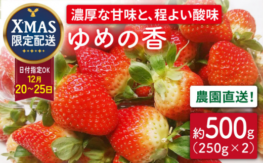 [12月20日お届け クリスマス用]いちご ゆめの香 500g(250g×2パック)長崎県/わたる農園 [42AABB005]