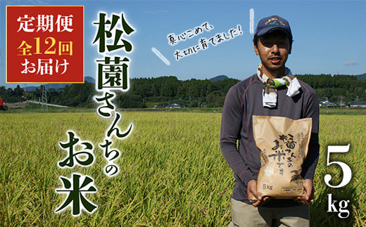 【全12回】松薗さんちのお米5kg定期便 026-106 1486685 - 鹿児島県南九州市