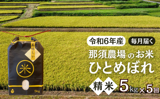 [定期便5ヵ月]令和6年産 新米 ひとめぼれ 精米5kg