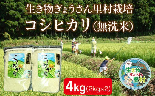 〈先行予約・令和６年度産〉生き物ぎょうさん里村栽培　コシヒカリ　（無洗米）２㎏×2袋 1402624 - 福井県越前市