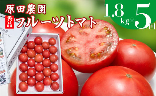 【5回定期便】フルーツトマト 原田農園 約1,800g 大箱（12月下旬～5月頃発送）＜2024年12月下旬頃より発送＞＜毎年12月上旬頃まで申込受付＞