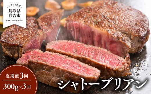 【定期便3回】 シャトーブリアン 300g × 3回 鳥取和牛 ブランド牛 国産 牛肉 和牛 黒毛和牛 ヒレ ステーキ 定期便 鳥取県 倉吉市 1461143 - 鳥取県倉吉市