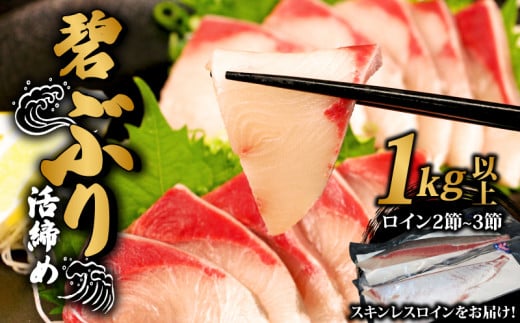 ＼10営業日以内発送／ 鰤 ぶり ブリ 碧ぶり 活締め 皮なし 2節 ~ 3節 計 1kg 以上 南予ビージョイ 冷蔵 活〆 スキンレスロイン ロイン 鰤ロイン 碧鰤 養殖ぶり 養殖鰤 鰤しゃぶ ぶりしゃぶ お刺身 さしみ 刺身 たたき 漬け丼 漬丼 海鮮丼 鍋 しゃぶしゃぶ 国産 愛媛 宇和島 D018-150009 1461657 - 愛媛県宇和島市