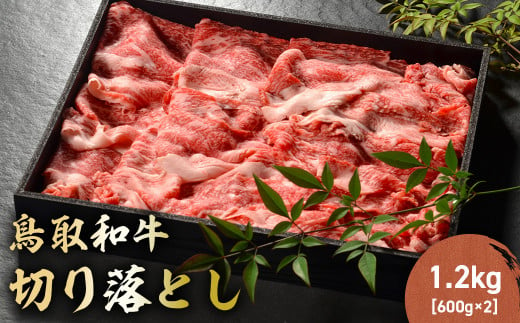 鳥取和牛 切り落とし 1.2kg（ 600g × 2P ） 切り落とし 牛肉 国産 和牛 黒毛和牛 肉 ブランド牛 国産牛 鳥取県 倉吉市 KR485 1461151 - 鳥取県倉吉市