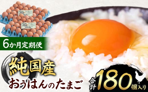 【6ヵ月定期便】信州産純国産鶏「おうはん」のたまご　30個入り｜ ふるさと納税 信州 鶏 卵 たまご 長野県 松本市 美味しい 種類豊富 特別 1598331 - 長野県松本市